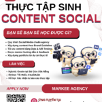 Thực tập sinh Content Social – Markee | Hybrid | Bonus theo level